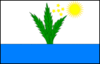 Bandera de Tupirama
