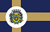 Bandera de Novo Horizonte do Norte