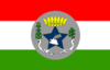 Bandera de Witmarsum
