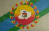 Bandera de Municipio Torres