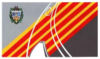 Bandera de Municipio Iribarren