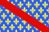 Bandera de Allier