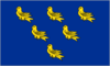 FlagOfSussex.PNG