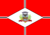 Bandera de San José del Río Preto
