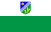 Bandera de Condado de Tartu