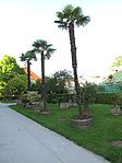 Botanischer Garten17.jpg