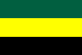 Bandera de Bagadó