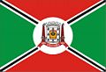 Bandera de Criciúma