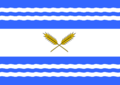 Bandera de Ñiquén