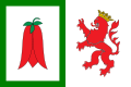 Bandera de Arauco