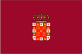 Bandera de Rincón de Beniscornia
