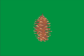 Bandera de El Pinar