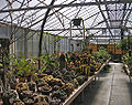 Desert Garden Conservatory interior.jpg
