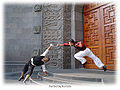 Fencing Choreography Rumata 2.jpg