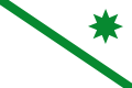 Bandera de San José del Valle