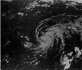Hurricane Chantal (1983).JPG