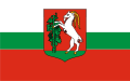Bandera de Lublin