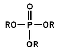 Phosphate ester.PNG