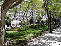 Plaza Pringles Rosario 2.jpg