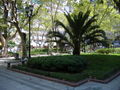 Plaza Pringles Rosario 3.jpg