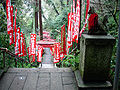 Sasuke Inari Shrine stairs.jpg
