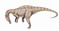 Suchomimus2.jpg