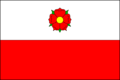 Bandera de Třeboň