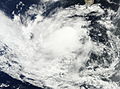 Tropical Depression Ten-E 2010-09-03 1750Z.jpg