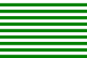 Bandera de Meta (departamento)