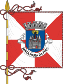 Bandera de Santa Maria da Feira