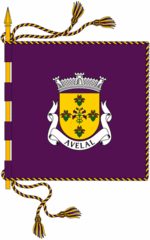 Bandera de Avelal