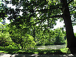 Botanischer Garten See2.jpg