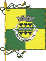 Bandera de la freguesía de Sanfins do Douro