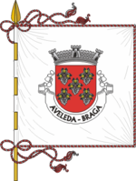 Bandera de la freguesía de Aveleda