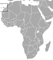 Canarian Shrew area.png
