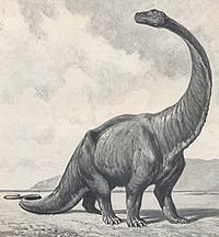 500 gigantosaurus dwdu1912cropped.jpg