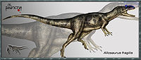 Allosaurus fragilis 3.jpg