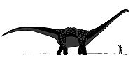 Antarctosaurus dinosaur.jpg