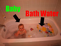 Baby vs. Bathwater Annotated.JPG