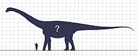 Bruhathkayosaurus Steveoc 86.jpg
