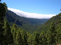 Caldera de Taburiente vista desde La Cumbrecita, uno de los puntos de acceso