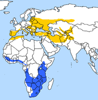 Distribución en verano (amarillo) e invierno (azul)