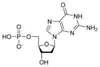 DGMP chemical structure.png