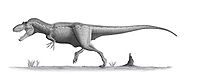 Daspletosaurus torosus steveoc.jpg