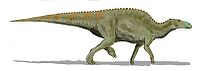 Edmontosaurus BW.jpg