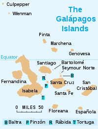 Los Islotes 4 Hermanos se encuentran cerca de Isabela y Tortuga