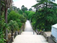 Jardim Botânico de Coimbra2.jpg