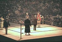 Johnny Valentine vs. NWA world wrestling champion Dory Funk Jr. at Maple Leaf Gardens in Toronto on February 11, 1973.jpg