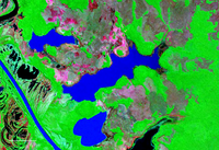 Laguna La Sarca Bolivia Satellite map 65.00370W 12.png