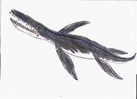 Liopleurodon EF.jpg